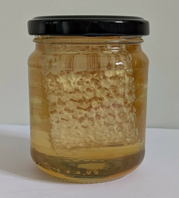 Miel d'acacia en rayon